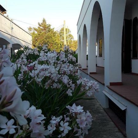 Ferienwohnung Il Lentisco Marina di Mancaversa Exterior foto