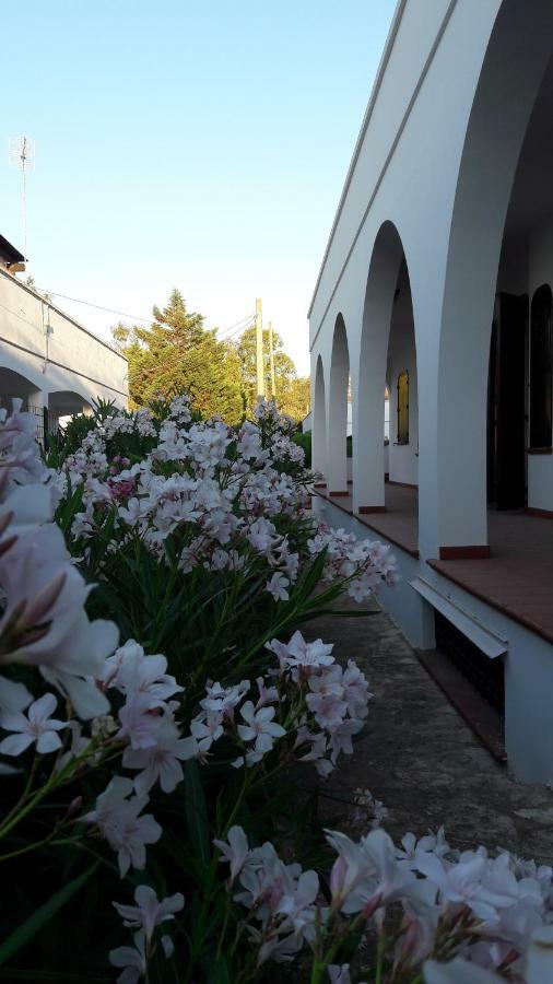 Ferienwohnung Il Lentisco Marina di Mancaversa Exterior foto